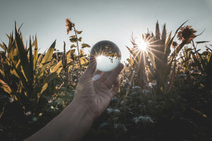 Rituals : Why Consistency Is Key to Progress